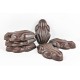 MOULDED CHOCOLATES MOULDED CHOCOLATES